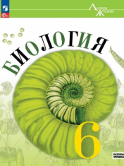 6 класс. Базовый уровень. Учебник